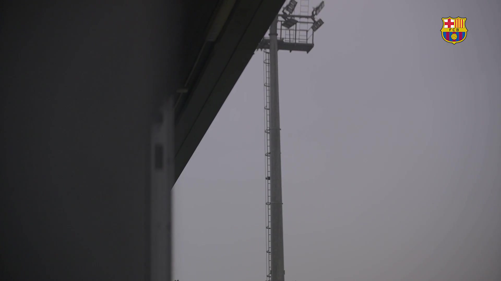 金年会巴萨队友在昨天训练前庆祝加维续约，直接将他拍倒在地上